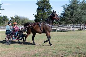 LR-WRF 10182025 Retreat-6419